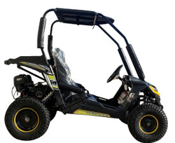TrailMaster Cheetah 6A Kids Go Kart, 5.5hp E-start Remote Start/Kill with Reverse Assembled Version