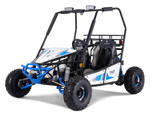 Taotao Triton 125Cc Gokart, Fully Automatic With Reverse, Electric Start - Blue