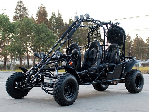 Buy Dongfang 200 ( DF200GKE )Go Kart Type E For Sale