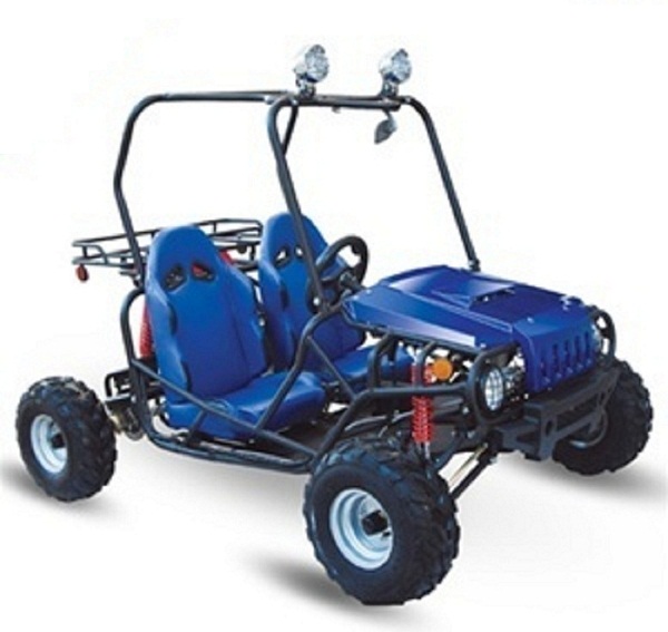 atti☆125 ATK125A TaoTao Kids 125cc Go Kart | TaoTao 125cc Go Kart For