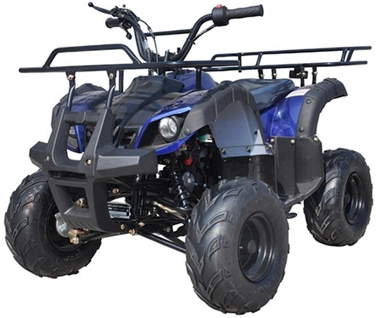 Ice Bear 125CC Youth Quad Atv Automatic With Reverse, Remote Kill, 7" Wheel (Pah125-8S), Air Cooled, 4-Stroke,