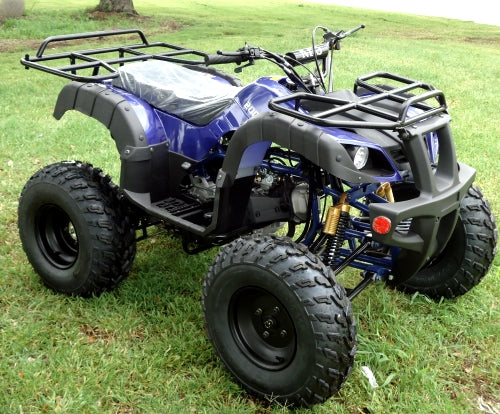 New Rps Tk200 Atv BS, Electric Start, Fully Auto With Reverse