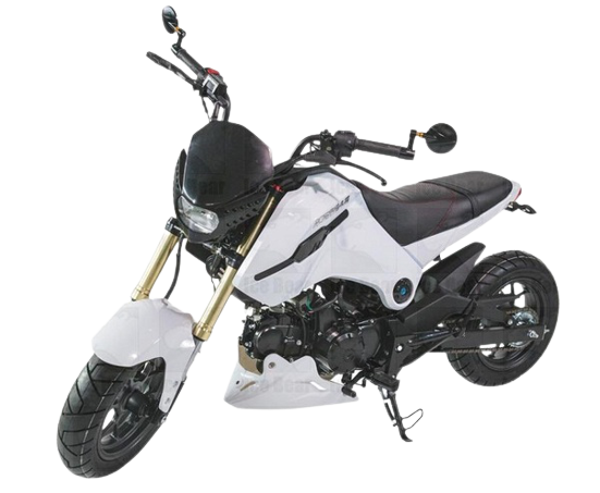ICE BEAR FUERZA 125CC AIR COOLED, 4 SPEED (PMZ125-1) MOTORCYCLE