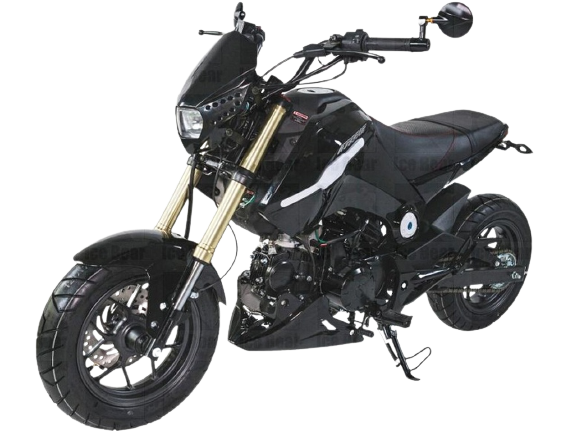 2024 MODEL ICE BEAR FUERZA 125CC AIR COOLED, 4 SPEED (PMZ125-1)