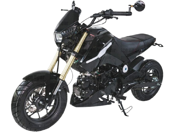 ICE BEAR FUERZA 125CC AIR COOLED, 4 SPEED (PMZ125-1) MOTORCYCLE