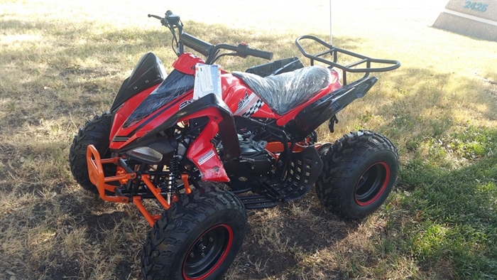 RPS 200DFAVB 169cc Horizontal Type ATV , Single-Cylinder, 4-Stroke, Air-Cooled