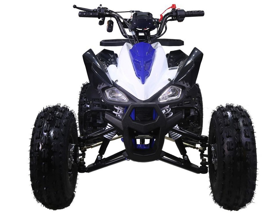 TAOTAO 125CC NEW CHEETAH Mid Size ATV, Automatic with Reverse, Air cooled, 4-Stroke, 1-Cylinder - Fully Assembled and Tested