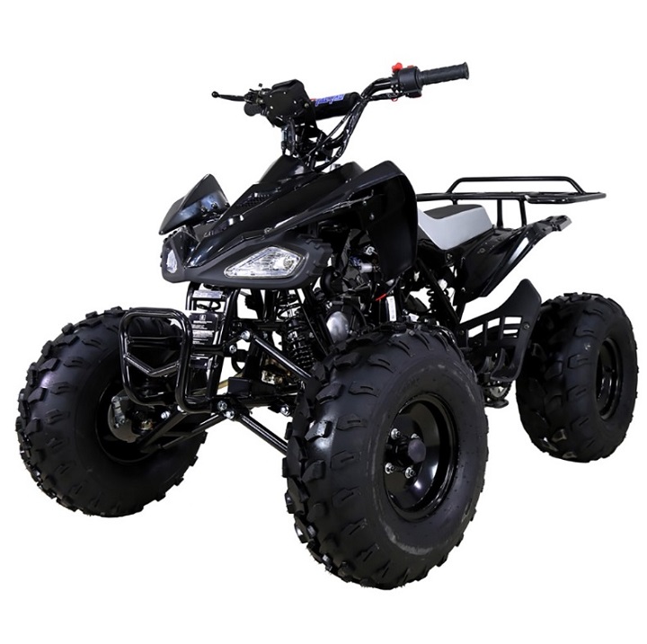 Buy Taotao Cheetah 125 ATV, Fully Assembled And Tested at