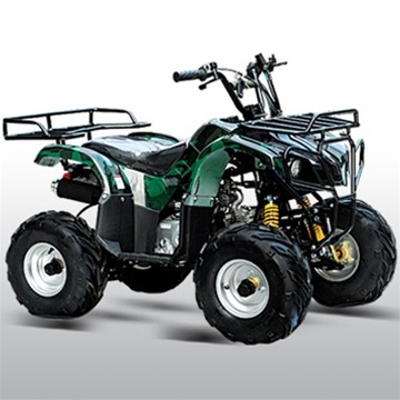 Taotao ATA 110D ATV, Air Cooled, 4-Stroke, 1-Cylinder, Automatic Electric Start (PRE-ORDER)