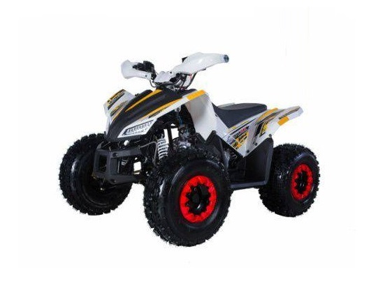 TAOTAO REX 120CC Electric Start ATV, Air Cooled, 4-Stroke, 1-Cylinder, Automatic With Reverse