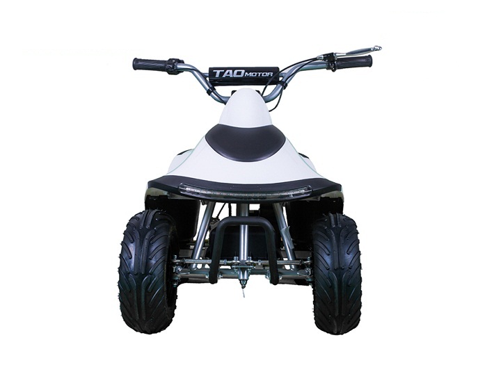 TaoTao ROVER350 350 Watt ATV, Brush Electric Motor