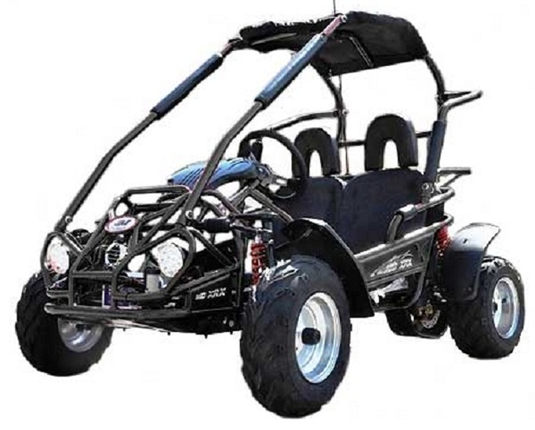 Trail Master 200cc Gokart Type MID XRX-R  (California Legal)