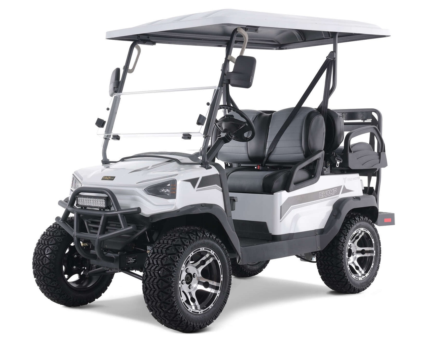 Tao Motor Champion TA 2+2 (Champ) Electric Golf Cart, Aluminum Alloy Wheels Large Colorful TFT Display - White