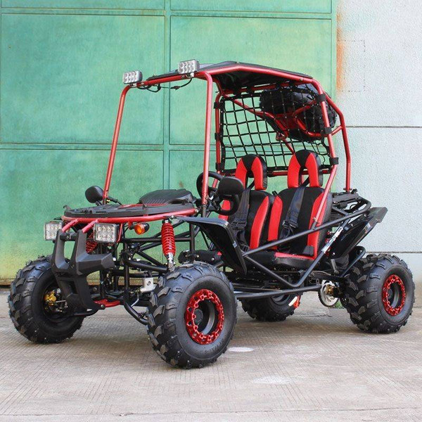 Dongfang 200 (DF200GSX) GSX GoKart For Sale | Tao Atv