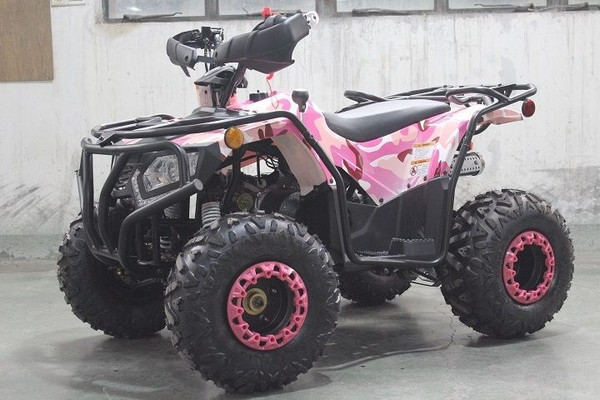 DongFang Rhino 200 (DF200ATS) Atv, 200cc, Kids/Youth/Adult Size, 19" Tire, Auto W/Reverse, Full Body Roll Cage, Foot Brake