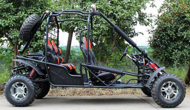 Buy New Donfang 169cc Spider Gokart Buggy Available in crate for sale.