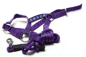 HalterUp Miniature Horse Halter and Lead Ropes, Medium