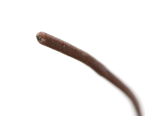 M22759/11-24-1 24 AWG PTFE Hookup Wire, Brown, 92ft