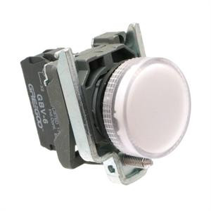 Pilot Lights, Indicator Electrical - White