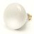 BR40 Incandescent Reflector Flood Light Bulb