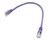 CAT6 UTP Patch Cable, 550 MHz, 1 Foot, Violet