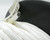 M27500-26RC3S06 26/3 Shielded Silver Coated Copper PTFE Jacketed Wire, 340ft