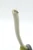 20AWG AWM 3239 High Voltage Silicone Rubber Wire, 30kV, White, 10ft