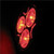 High Power LED MR-16 Bulb 12 Volt DC - Red