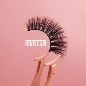 Butterfly Effect - Daisy & Sunshine