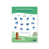 Zen Plakat / hund & katt - 50 x 70 cm