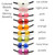 LILO bead colors swatch