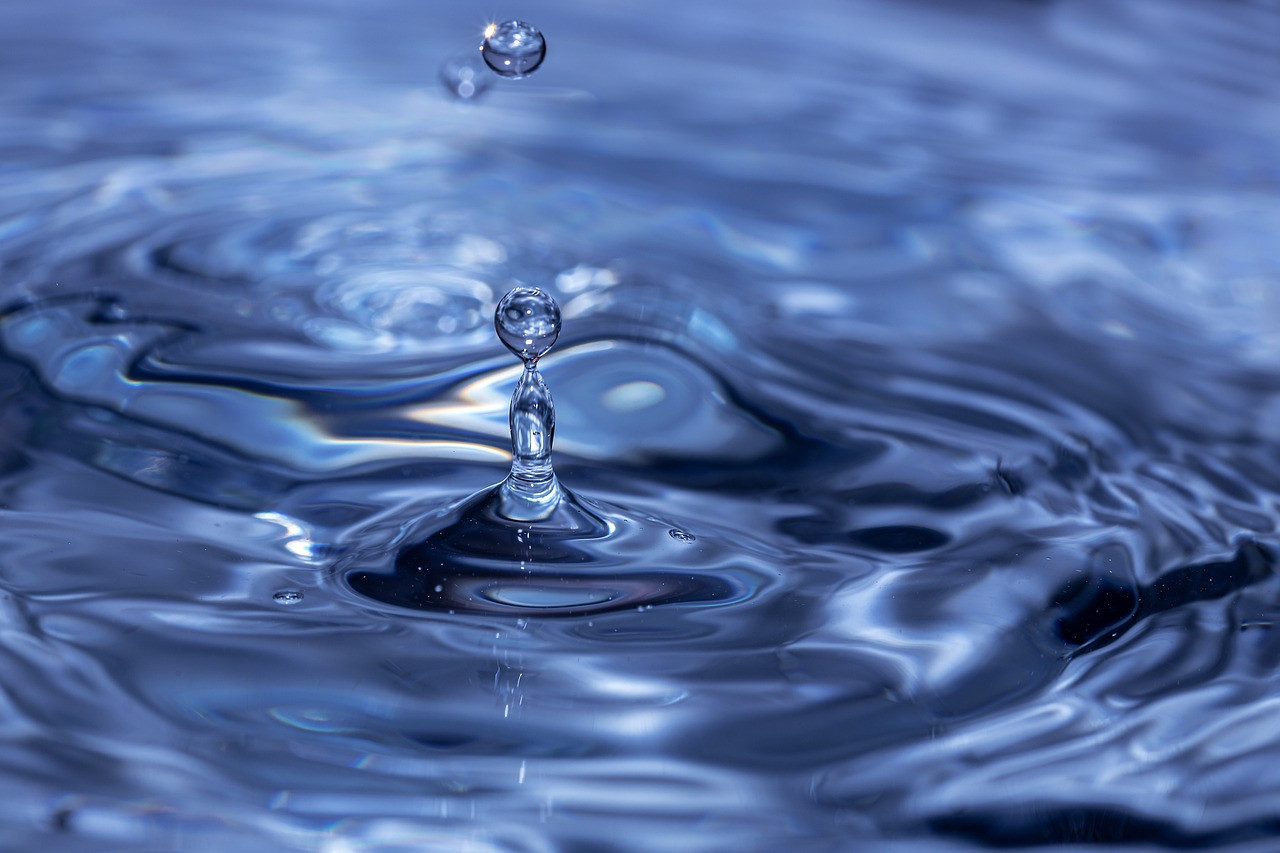 Exploring the Efficacy of Nutritional Supplements: Separating Fact from Fiction