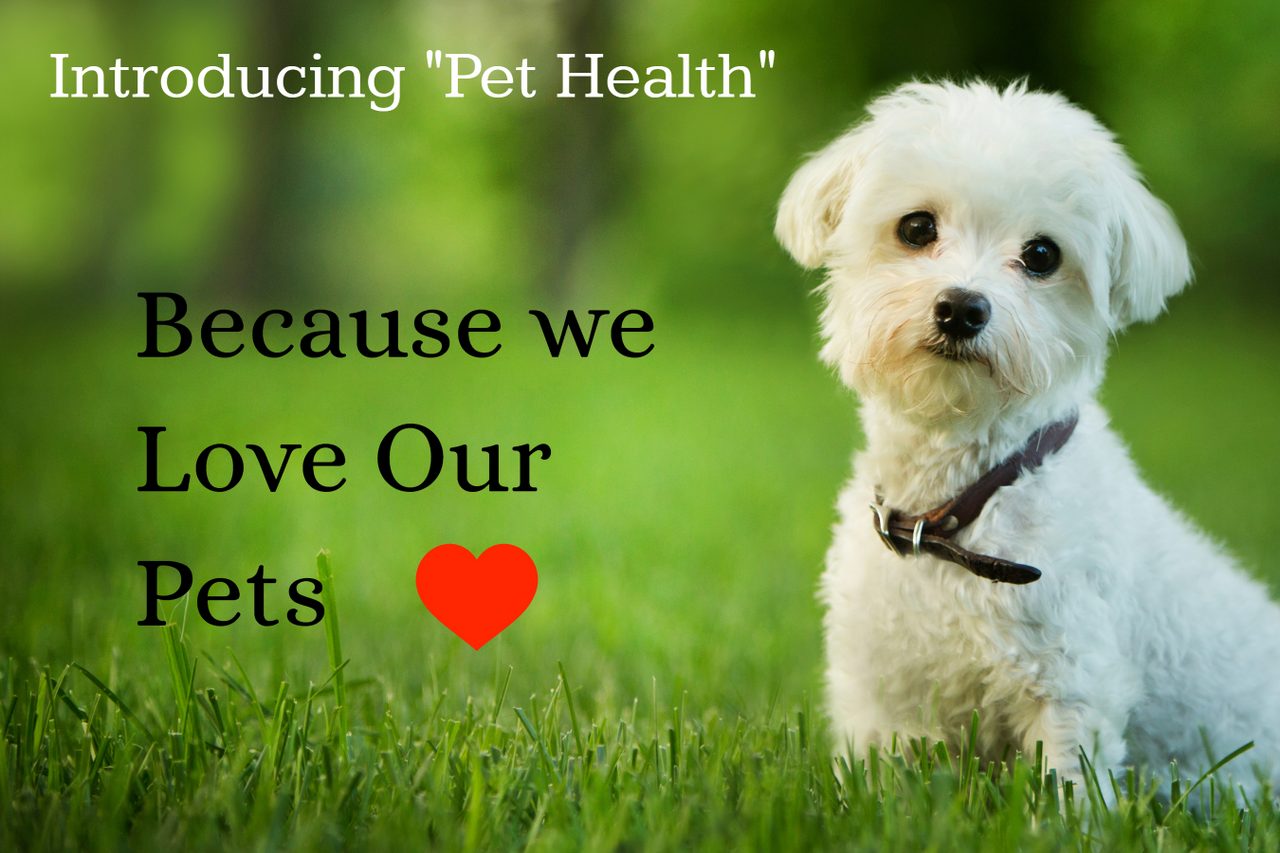 The Missing Piece in Your Pet's Wellness Journey: Exploring the Benefits of Nutritional Supplements