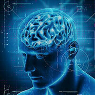 Brain & Memory Support