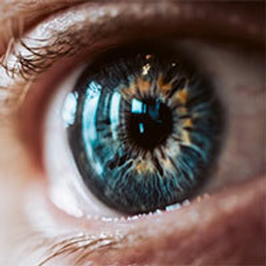 Eye Health  Eye Health