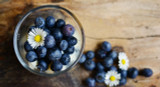 Functional Foods & Supplements: A Science-Backed Guide for Wellness