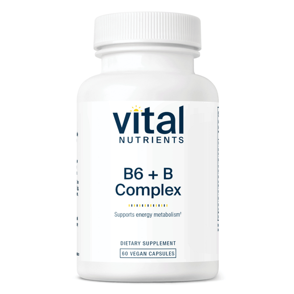B6 + B-Complex 60 Capsules (VNBXB6) VitaminDecade | Your Source for Professional Supplements B6 + B-Complex 60 Capsules (VNBXB6) VitaminDecade | Your Source for Professional Supplements