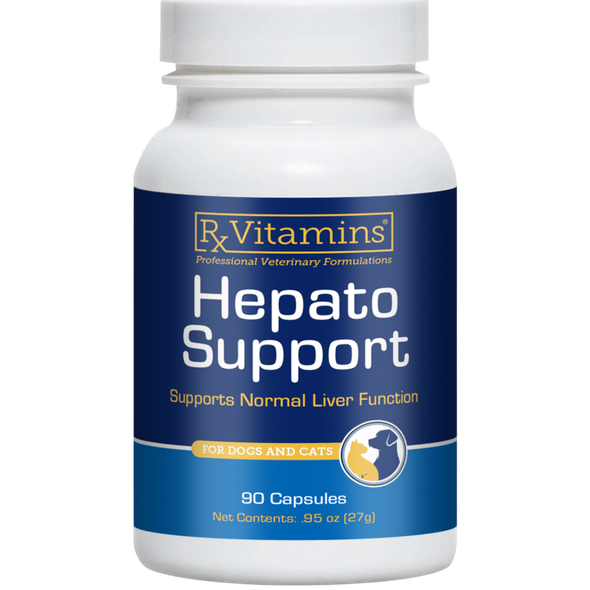 Hepato Support 90 caps