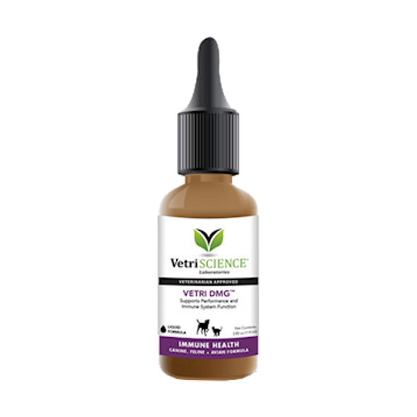 Vetri-DMG Liquid 3.85 oz VitaminDecade | Your Source for Professional Supplements