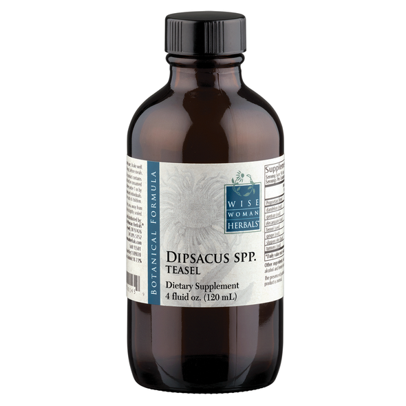 Dipsacus spp.- teasel 4 oz