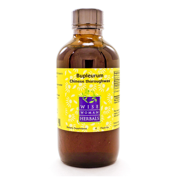 Bupleurum chinense - Chinese thoroughwax 4oz