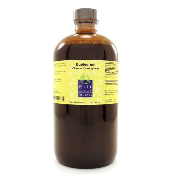 Bupleurum chinense - Chinese thoroughwax 16 oz