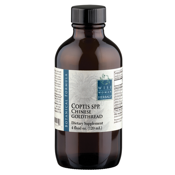 Coptis chinensis - Chinese goldthread 4 oz