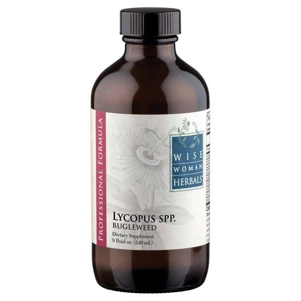 Lycopus virginicus - bugleweed 8 oz