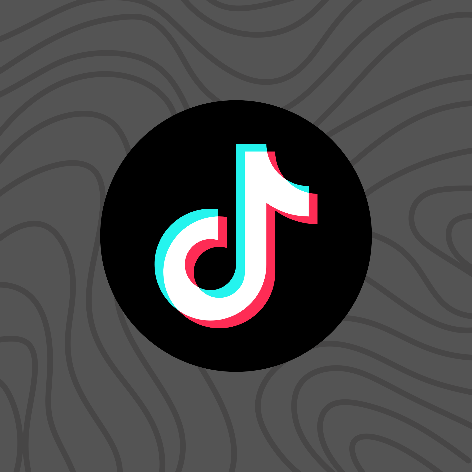 TikTok Logo
