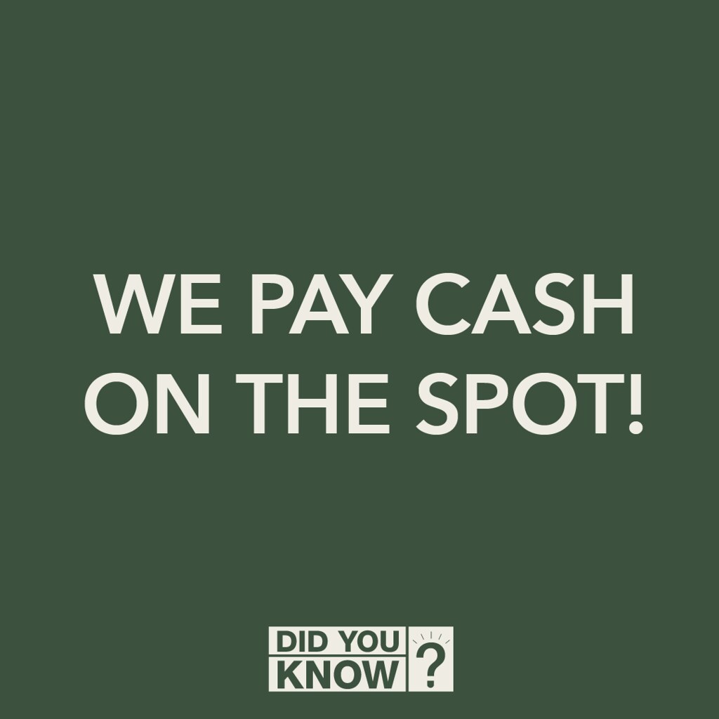 Get Paid