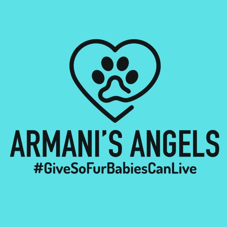 Paw print logo for Armani's Angels