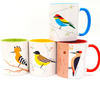 'Birds of Israel' Colorful Coffee Mug Set of 4 