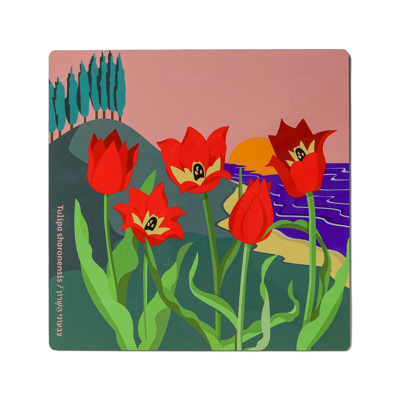 Wooden Kitchen Trivet - Tulip Sharon-Flower of Israel