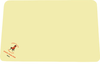  Chamois Towel 13X17 Lewis Palmer State Team Includes Embroidered  logo and name